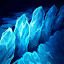 Braum R