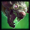 Twitch champion profile