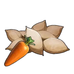 Karottensamen