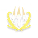 Lightning Claw Lightning Claw skill icon in Aniimo