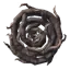 Shield of Roots Shield of Roots