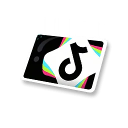 Ikona przedmiotu A Moment on TikTok w Aniimo