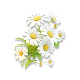 Ikona předmětu Lunar Daisy v Aniimo