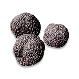 Ikona předmětu Mutant Truffle v Aniimo