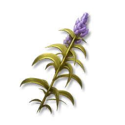 Ikona předmětu Spiked Herb v Aniimo
