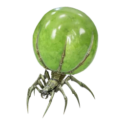 Ridge Spider