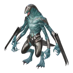 Draconute Elite Watch Warrior