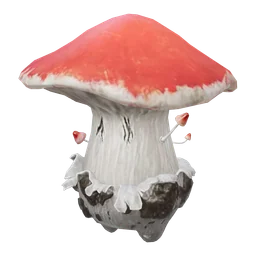 Cave Fungie