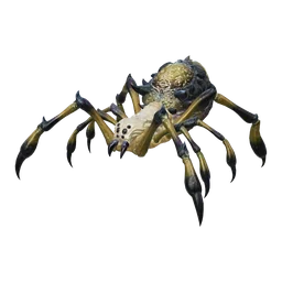 Baby Cave Spider