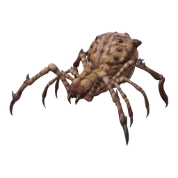 Withered Spider