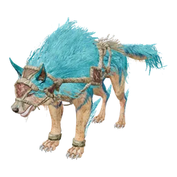 Tamed Zaif