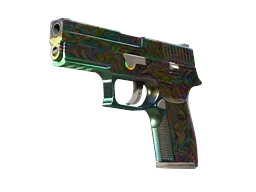 P250 | Wizje