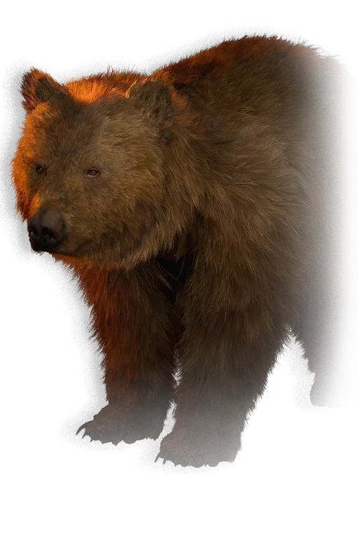 The Blood of Dawnwalker의 곰 적 일러스트