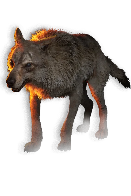 The Blood of Dawnwalker 中 狼 的传说插画