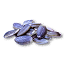 Значок предмета Razkovniche Seeds в The Blood of Dawnwalker