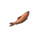 Gebratene Sardine