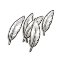 Warped Feathers