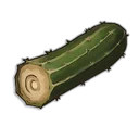 Cactus tuyau fibreux