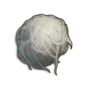 Algodón de cadáver