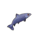Anchovas Cruas