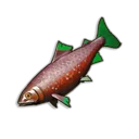 Pristine Monkfish