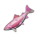 Unusual Trout