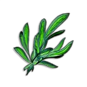 Avantoe
