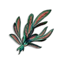 Toadflax