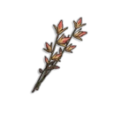 Herbe du désert