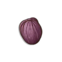 Irit Seeds