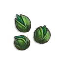 Avantoe Seeds