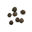 Cabbage seeds