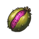 Pipe Cactus Seed