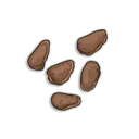 Potato seeds