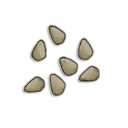 Tomato seeds