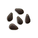 Watermelon seeds