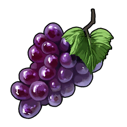 Grape icon