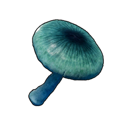 Tajemniczy grzyb icon
