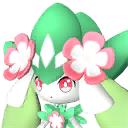 Petallia icon