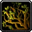 Icona di Delicious Cave Mold in WoW Forever
