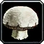 Icona di Underwater Mushroom Cap in WoW Forever